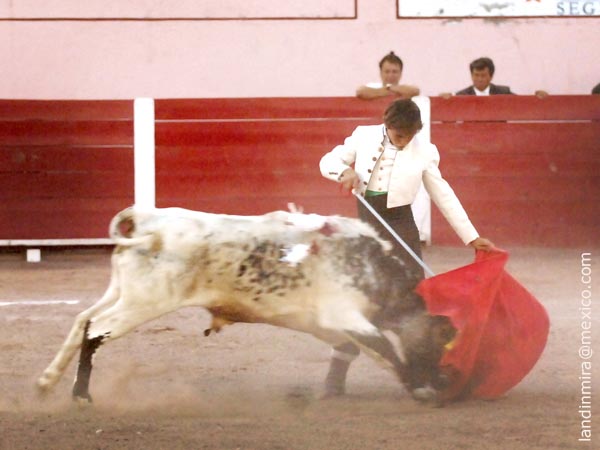 Andrs Roca Rey con el sexto