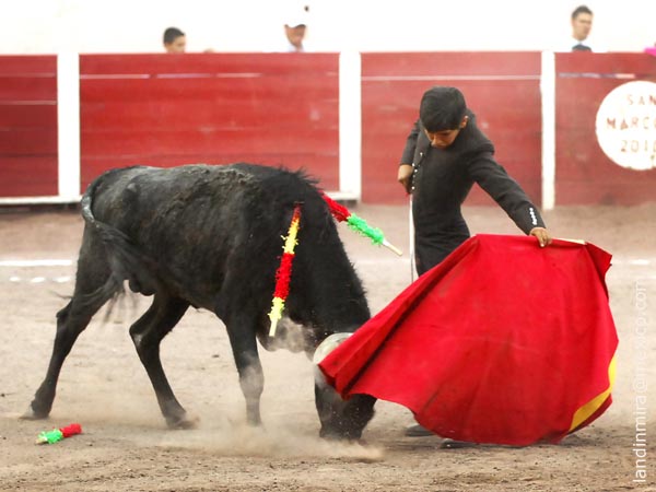 Por el pitn izquierdo