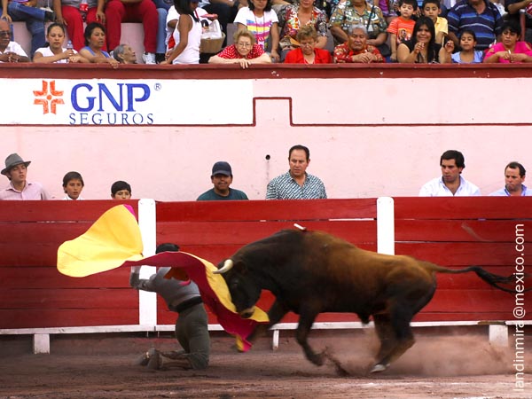 Saludo de Rafael Reynoso