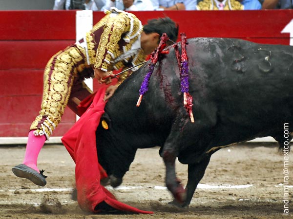 Delgadillo herido al estoquear