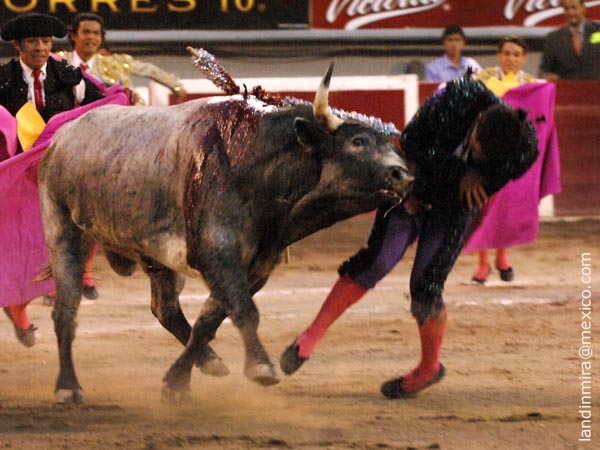 Tercera, herido en el escroto