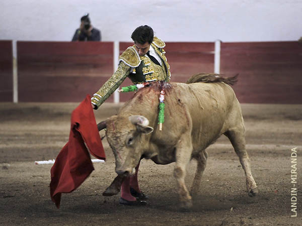 Templando a media altura