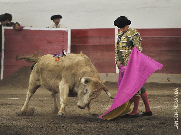Primer turno de Jos� Mauricio