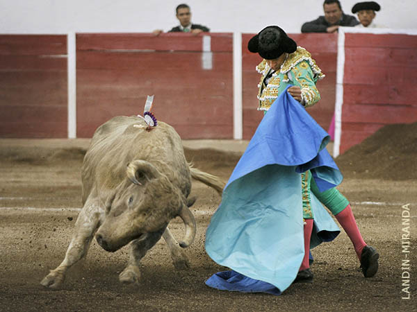 Entrega en las ver�nicas