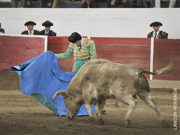 Toreo vestido de azul