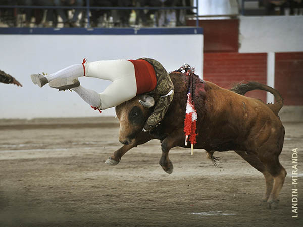 Espectaculares Amadores de M�xico