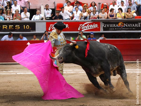 Vctor Mora y el toro ms hecho