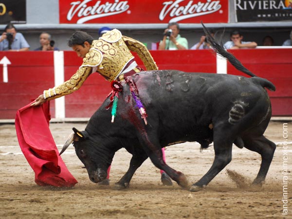 Series que calaron en el tendido