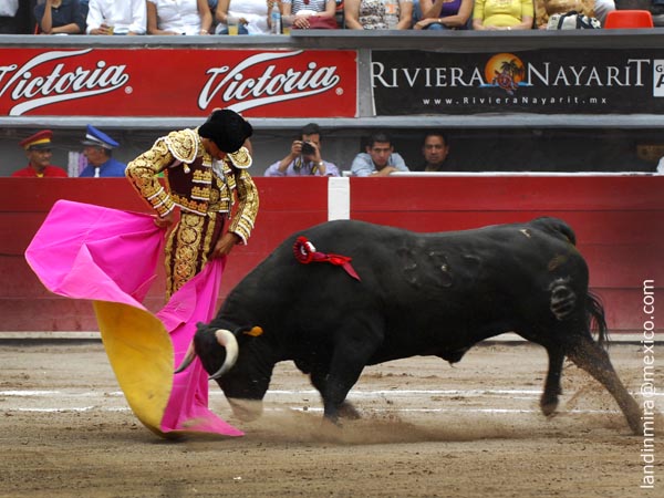 La media de Csar Delgadillo