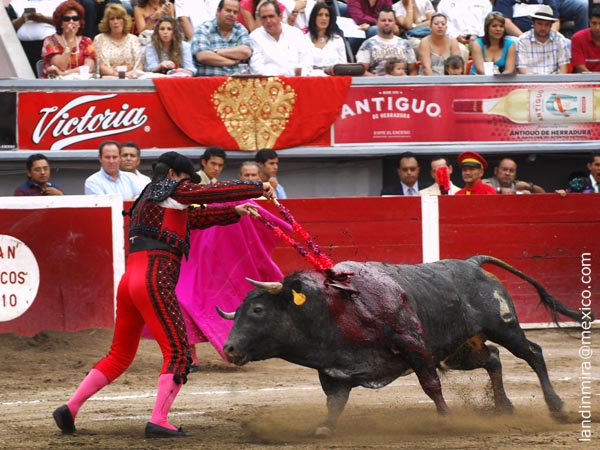 Un par de Manolo Fuerte