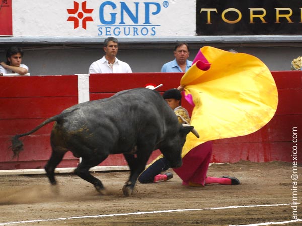 Larga de Fabin Barba