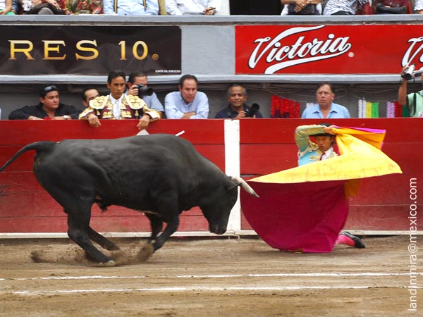 Israel Tllez abre la 11a. de Feria