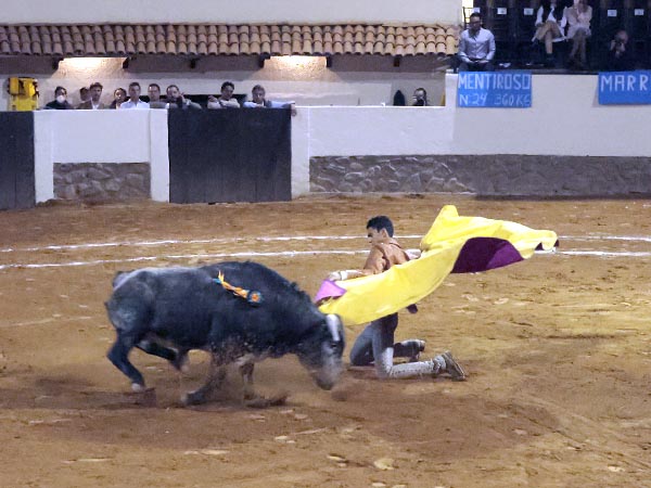 El turno de Ignacio Garibay hijo