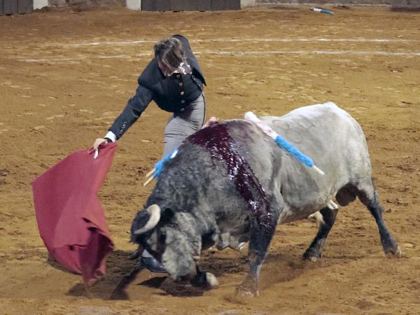 Un c�rdeno con cuajo