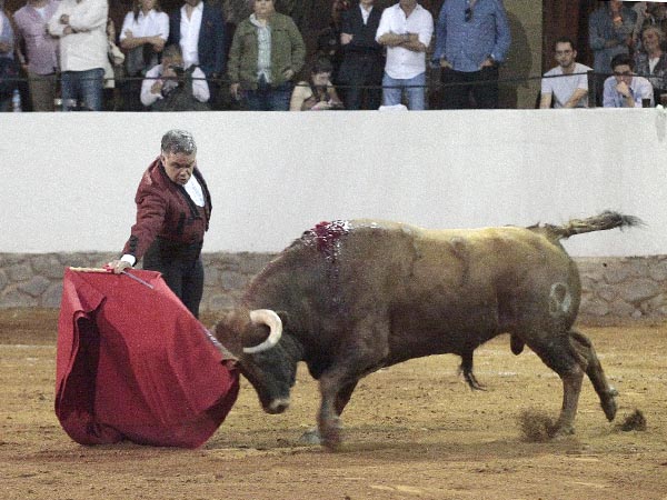 El Calesa, en la lidia rdinaria