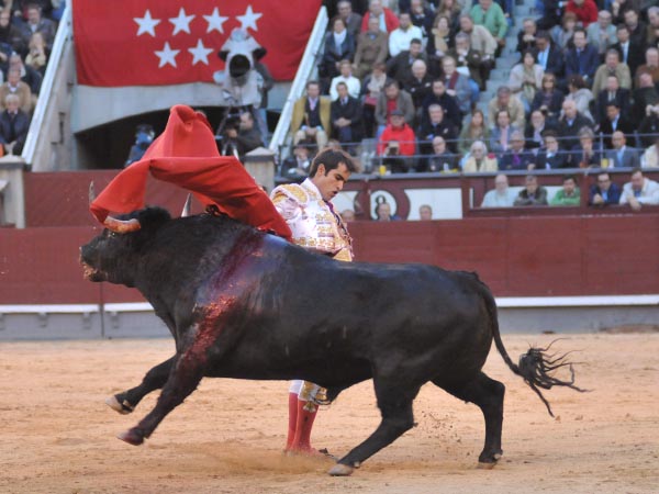 Manoletina en los medios