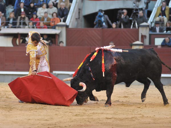 Tratando de someterlo