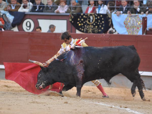 El inicio de la faena