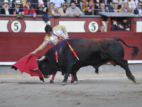 Estir�ndose en un muletazo