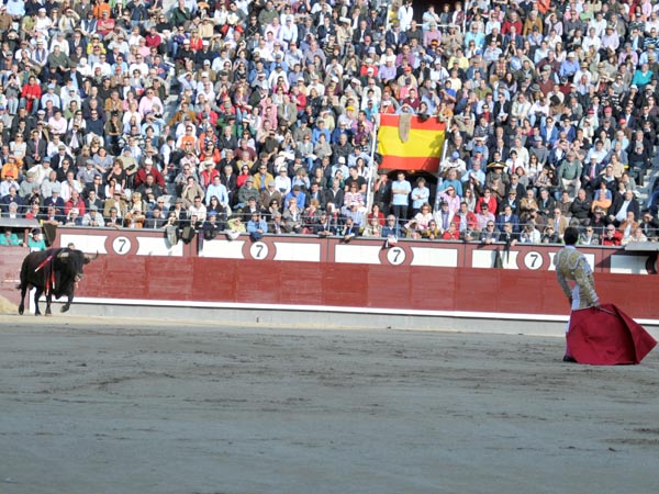 Desde all� se le arranc�