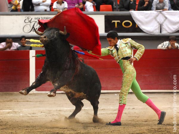 Termin� el Serial 2010