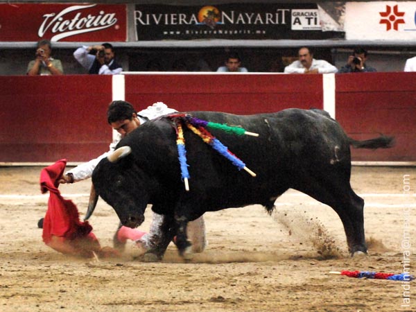 Rodillas en la arena