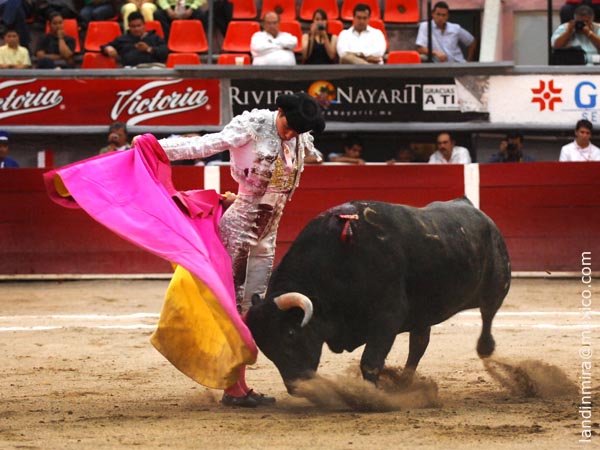 Inm�vil lo aguanta