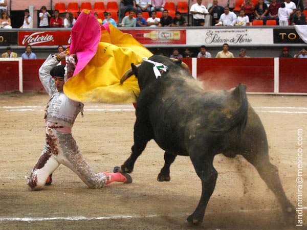 Larga de Juan Camilo