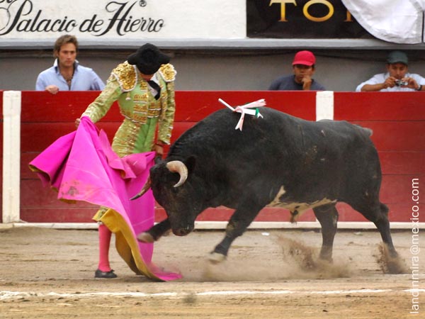 Ver�nicas de Sergio