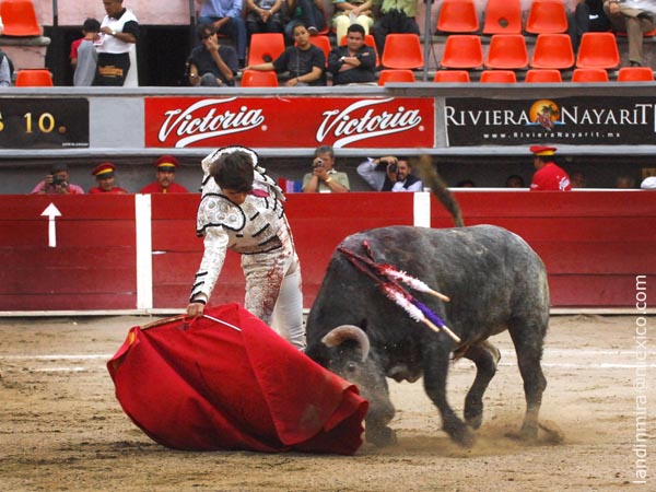 Tirando del ejemplar