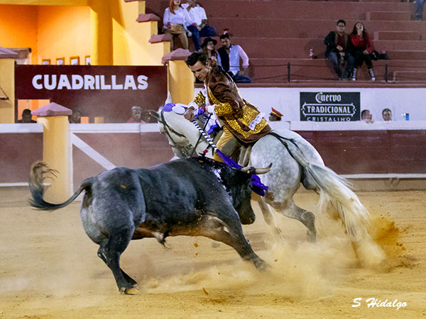 Fauro Aloi, esforzado