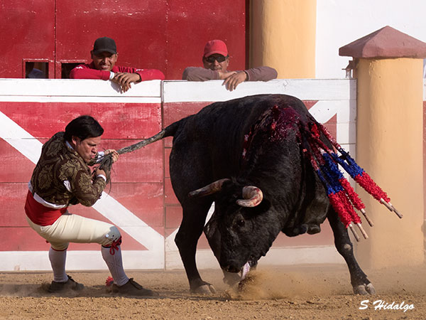 Rene Tirado,  un maestro
