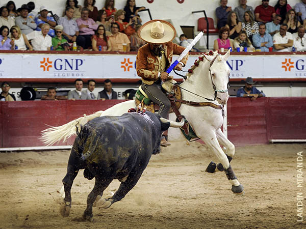 Templando de costado