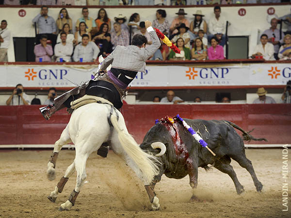 Tore� en todos los terrenos