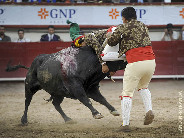 La pega, al primer intento