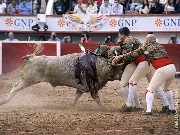 Amadores de M�xico, espectaculares