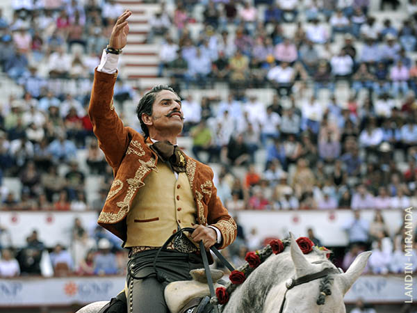 En el gusto hidroc�lido