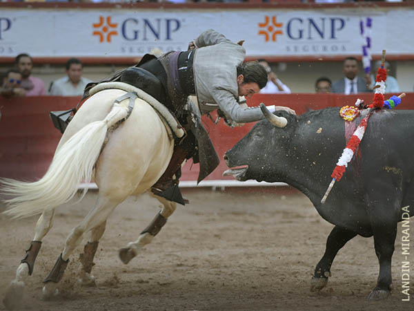 Desplante del caballista