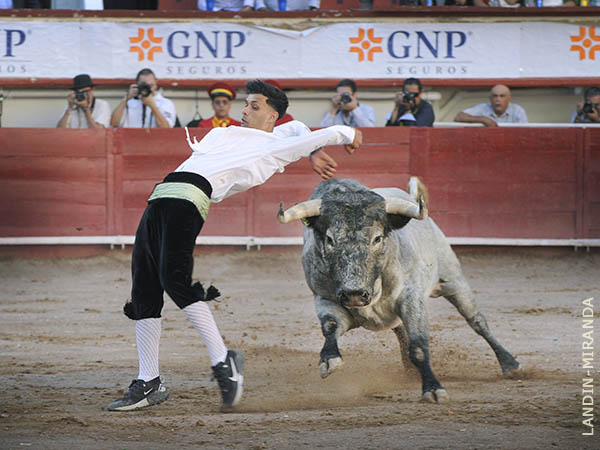 Garant�a de espect�culo