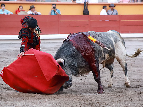 Logr� meterlo a la muleta