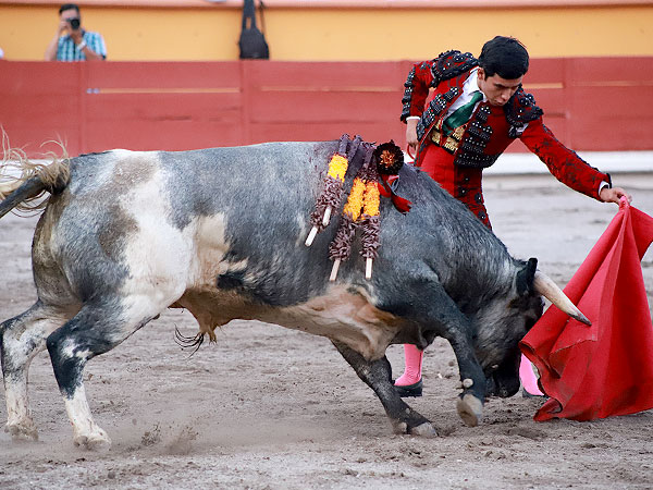 Apuntando el toreo bueno