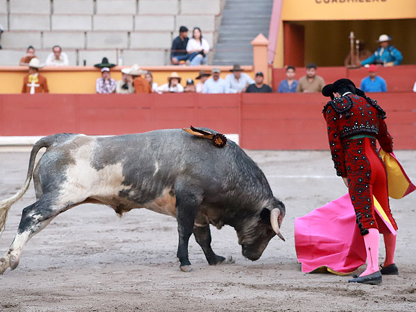 Sebasti�n Palomo como esta