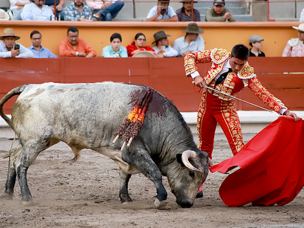 Insistiendo al natural