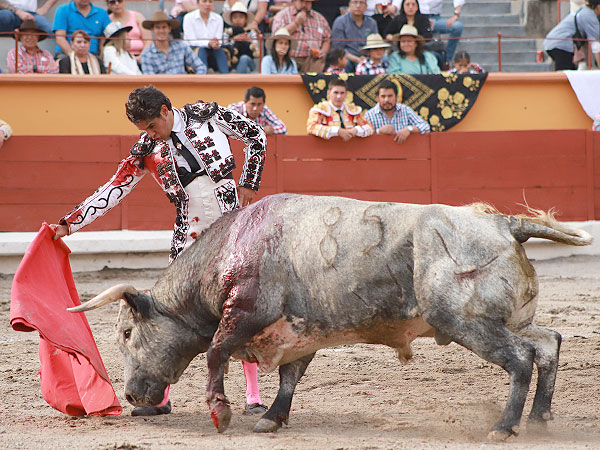 Saboreando la embestida