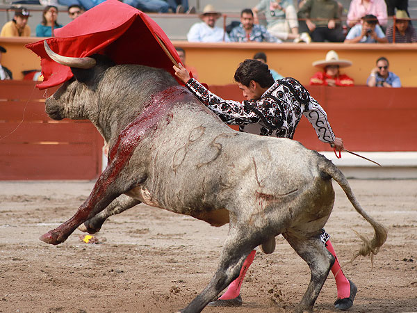 Pas�ndose todo el Toro