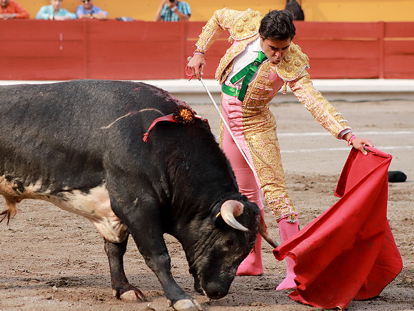 Apret�ndole al toro