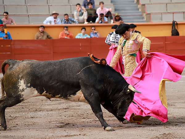 Miguel de Pablo (Esp)