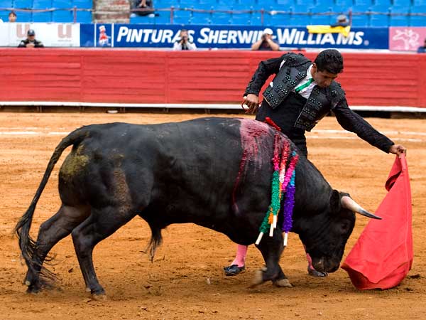 Luci� por naturales