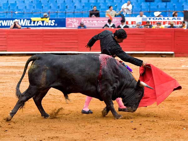 Perfilando el remate