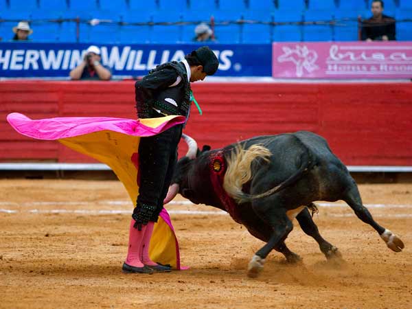 Aguantando la embestida